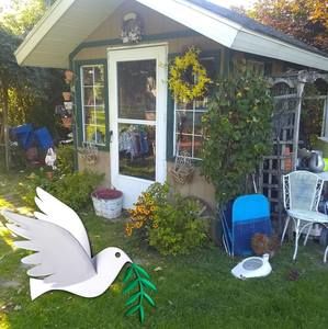 Meet your Posher, Judy mcbryar